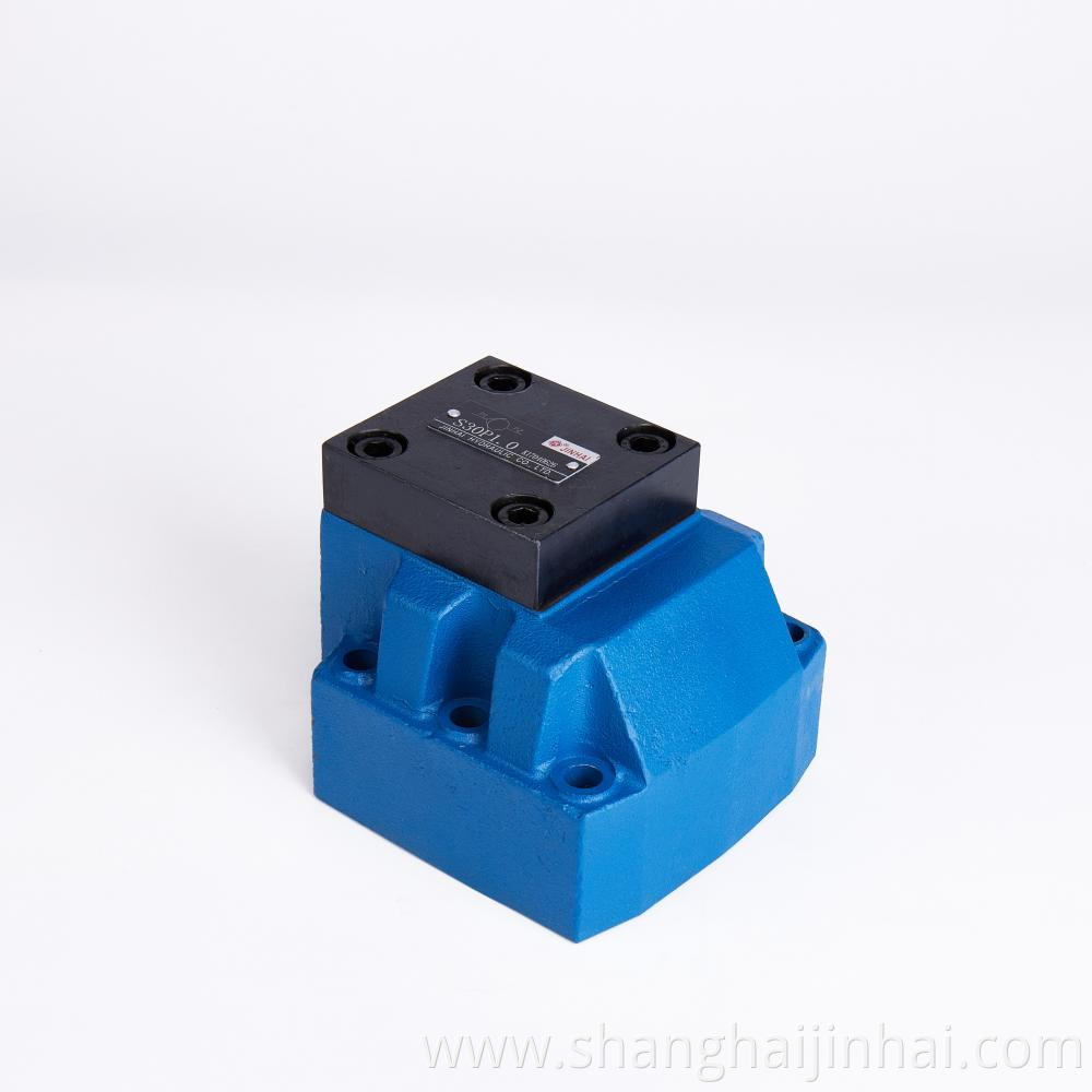 S30p Check Valve 5